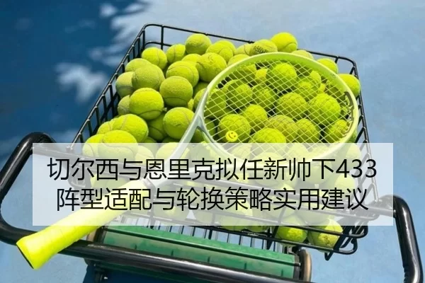 qie-er-xi-yu-en-li-ke-ni-ren-xin-shuai-xia-zhen-xing-shi-pei-yu-lun-huan-ce-lve-shi-yong-jian-yi-2-622.jpg